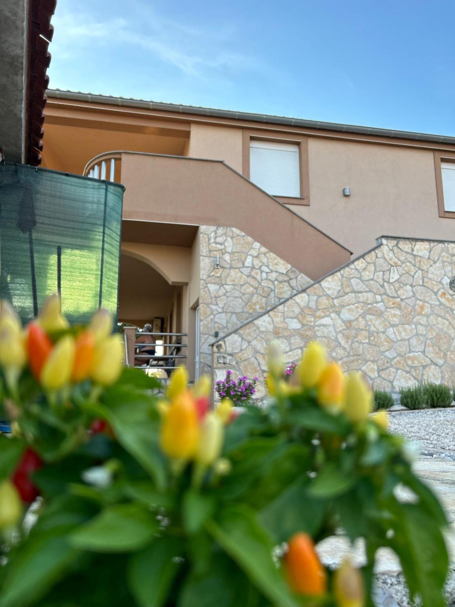 Danisacroatia Maslenica Exterior foto