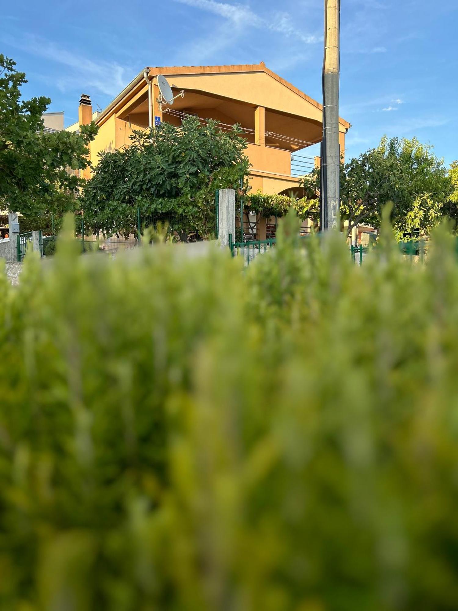 Danisacroatia Maslenica Exterior foto